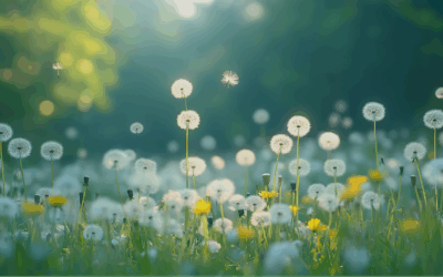 Baskin Clinic News: Spring Cleaning